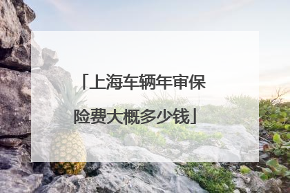 上海车辆年审保险费大概多少钱