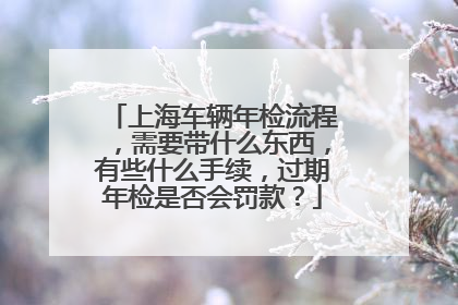 上海车辆年检流程，需要带什么东西，有些什么手续，过期年检是否会罚款？