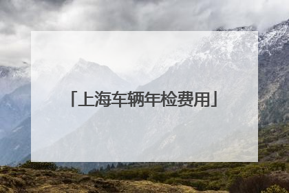 上海车辆年检费用