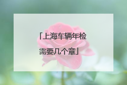 上海车辆年检需要几个章