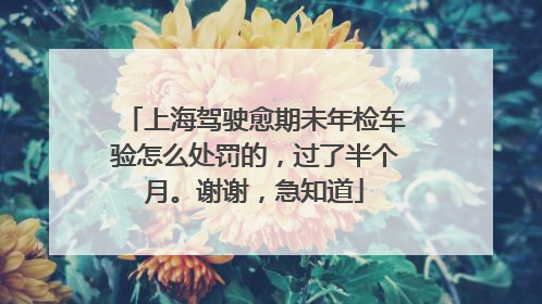 上海驾驶愈期未年检车验怎么处罚的，过了半个月。谢谢，急知道