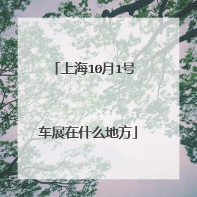 上海10月1号车展在什么地方