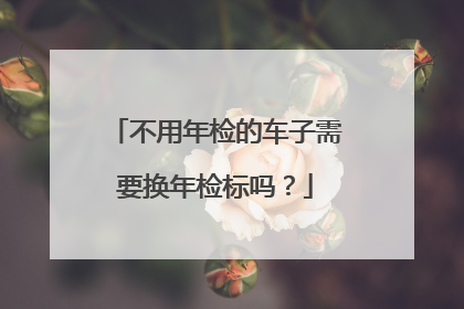 不用年检的车子需要换年检标吗？