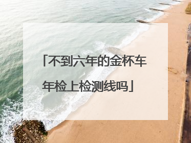 不到六年的金杯车年检上检测线吗