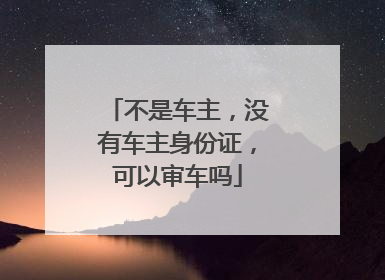 不是车主，没有车主身份证，可以审车吗