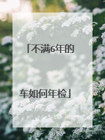 不满6年的车如何年检