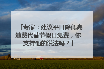 专家：建议平日降低高速费代替节假日免费，你支持他的说法吗？