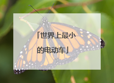 世界上最小的电动车