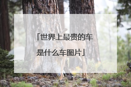 世界上最贵的车是什么车图片