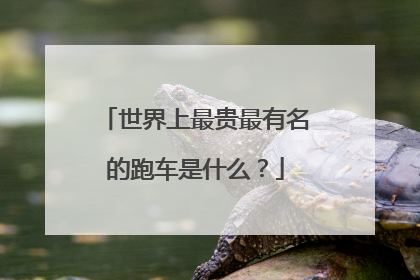 世界上最贵最有名的跑车是什么？