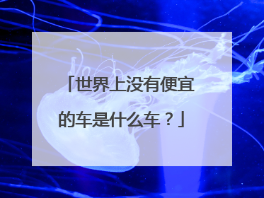 世界上没有便宜的车是什么车？