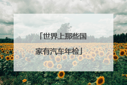 世界上那些国家有汽车年检