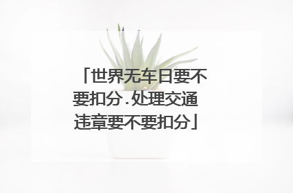 世界无车日要不要扣分.处理交通违章要不要扣分