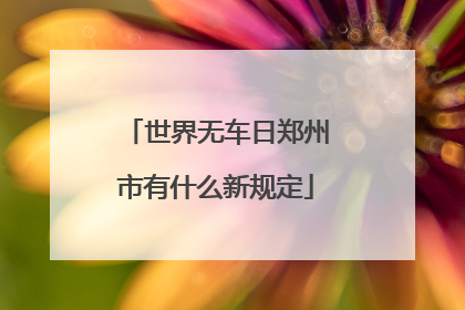 世界无车日郑州市有什么新规定