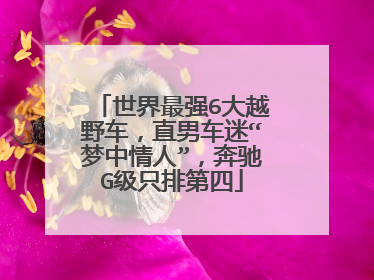 世界最强6大越野车，直男车迷“梦中情人”，奔驰G级只排第四