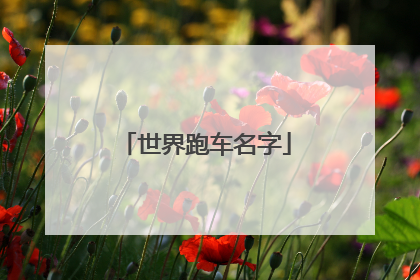 世界跑车名字