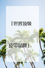 世界顶级皮带品牌