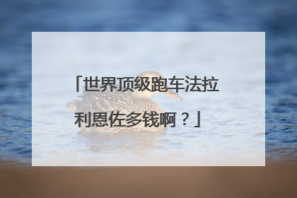 世界顶级跑车法拉利恩佐多钱啊？