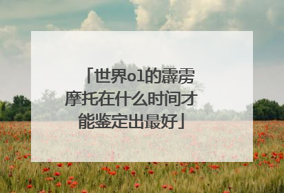 世界ol的霹雳摩托在什么时间才能鉴定出最好