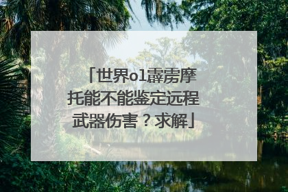 世界ol霹雳摩托能不能鉴定远程武器伤害？求解