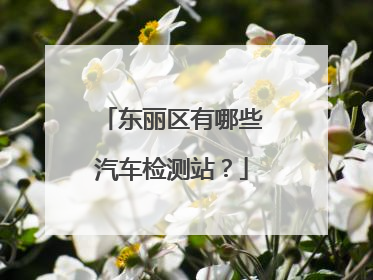 东丽区有哪些汽车检测站？