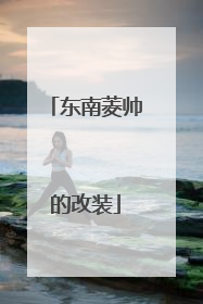 东南菱帅的改装
