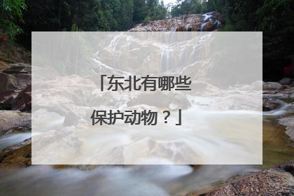 东北有哪些保护动物？