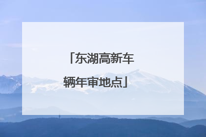 东湖高新车辆年审地点