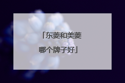 东菱和美菱哪个牌子好