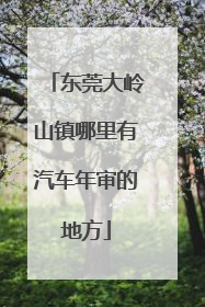 东莞大岭山镇哪里有汽车年审的地方