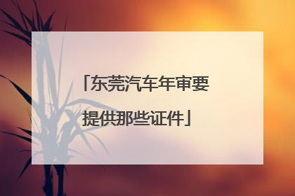 东莞汽车年审要提供那些证件
