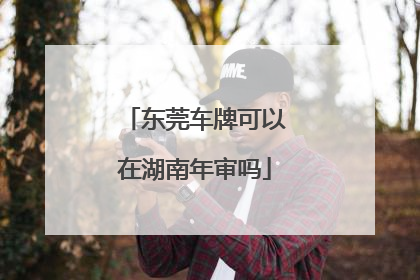 东莞车牌可以在湖南年审吗