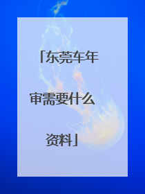 东莞车年审需要什么资料