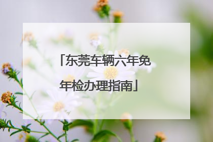 东莞车辆六年免年检办理指南