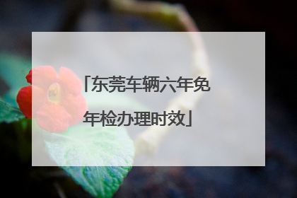 东莞车辆六年免年检办理时效