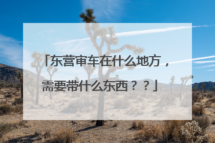 东营审车在什么地方，需要带什么东西？？