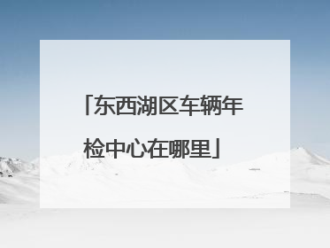 东西湖区车辆年检中心在哪里