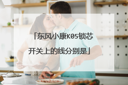 东风小康K05锁芯开关上的线分别是
