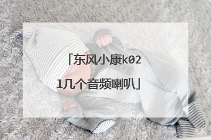 东风小康k02l几个音频喇叭