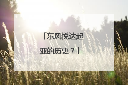 东风悦达起亚的历史？