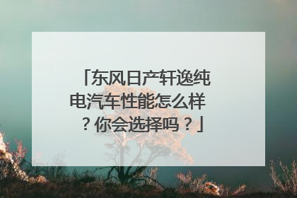 东风日产轩逸纯电汽车性能怎么样？你会选择吗？