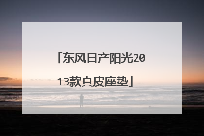 东风日产阳光2013款真皮座垫
