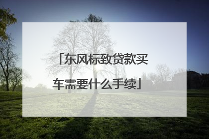 东风标致贷款买车需要什么手续