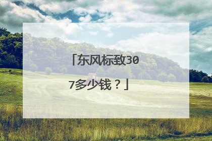 东风标致307多少钱？