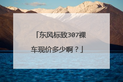 东风标致307裸车现价多少啊？