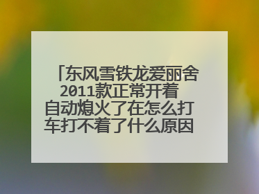 东风雪铁龙爱丽舍2011款正常开着自动熄火了在怎么打车打不着了什么原因？点由都有
