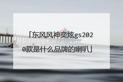 东风风神奕炫gs2020款是什么品牌的喇叭