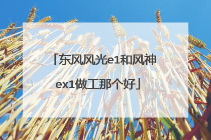 东风风光e1和风神ex1做工那个好