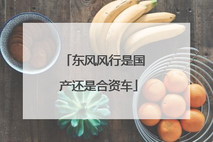 东风风行是国产还是合资车