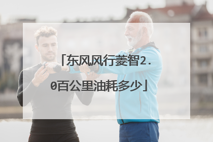 东风风行菱智2.0百公里油耗多少